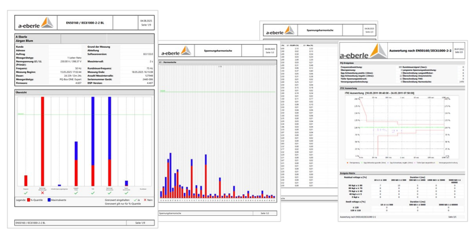 Normberichte der Software