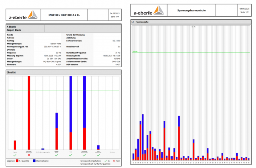 Auswertung Balkendiagramm